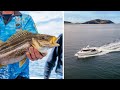 Reel Deep Adventure Charters Fishing Diving Charter Tasmania
