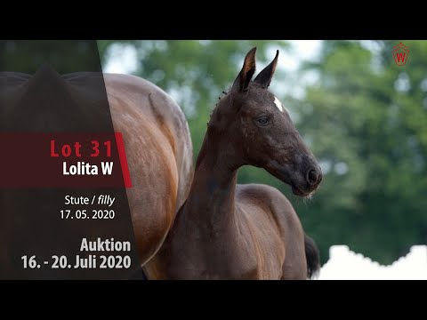 Westfälische Online Auktion 16. - 20. Juli: Lot 31 Lolita W Stute v. Lord Europe - Feedback