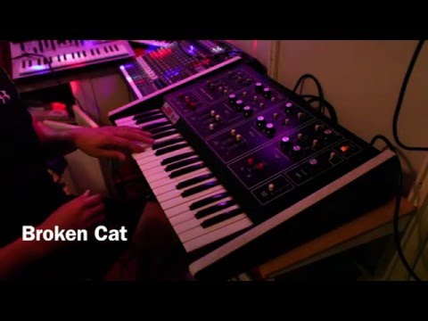 Broken Cat - Octave The Cat in partially working order still sounds awesome