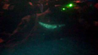 preview picture of video 'Pregnant Belugas @ Shedd Aquarium'
