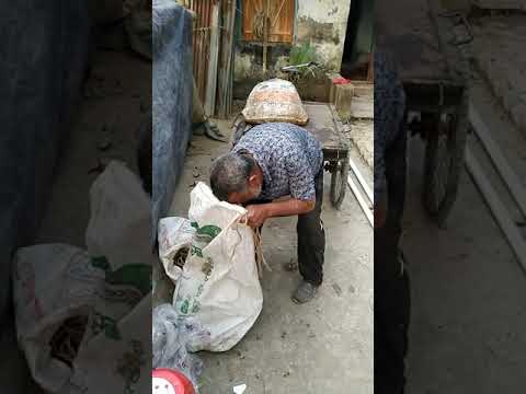 slow motion video by xiaomi mi8 lite