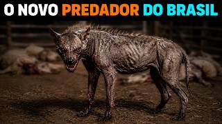 🚨 O Brasil SÓ PIORA: O que M4TOU 96 animais em 7 cidades? CHUPACABRAS