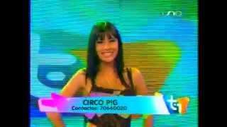 CIRCO PIG 2025 - EL SATANICO DR CADILLAC (en vivo TOP UNO)