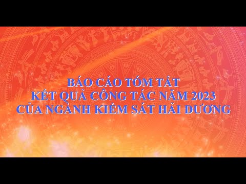 Báo cáo tóm tắt công tác kiểm sát năm 2023