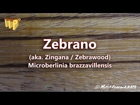 Zebrano (microberlinia brazzavillensis) aka zebrawood/zingana
