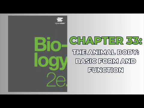 OpenStax Biology 2e (Audiobook) - Chapter 33: The Animal Body: Basic Form and Function