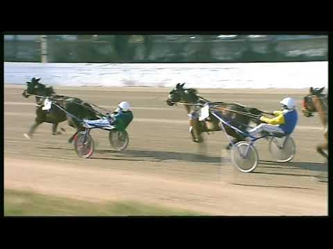 Trotto 09/02/2020 - 2ª corsa