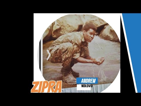 ZIPRA and ZAPU brought about the Zimbabwean independence- Andrew Ndlovu