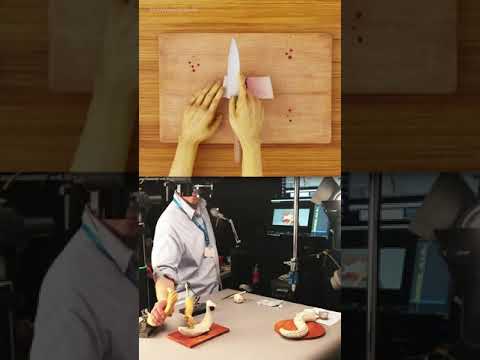 ¿Sabías que la escena del sushi en Isle of Dogs era real? #shorts