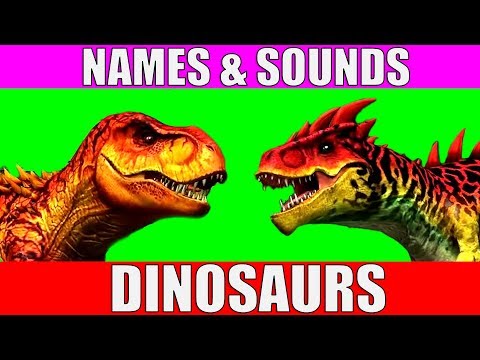 Dinosaurs Names and Sounds for Kids to Learn | Learn Dinosaur Names and Sounds for Children