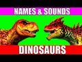 Dinosaurs Names and Sounds for Kids to Learn | Learn Dinosaur Names and Sounds for Children Dinosaurs Names and Sounds for Kids to Learn | Learn Dinosaur Names and Sounds for Children
