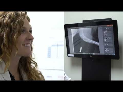 Midwest Animal Hospital