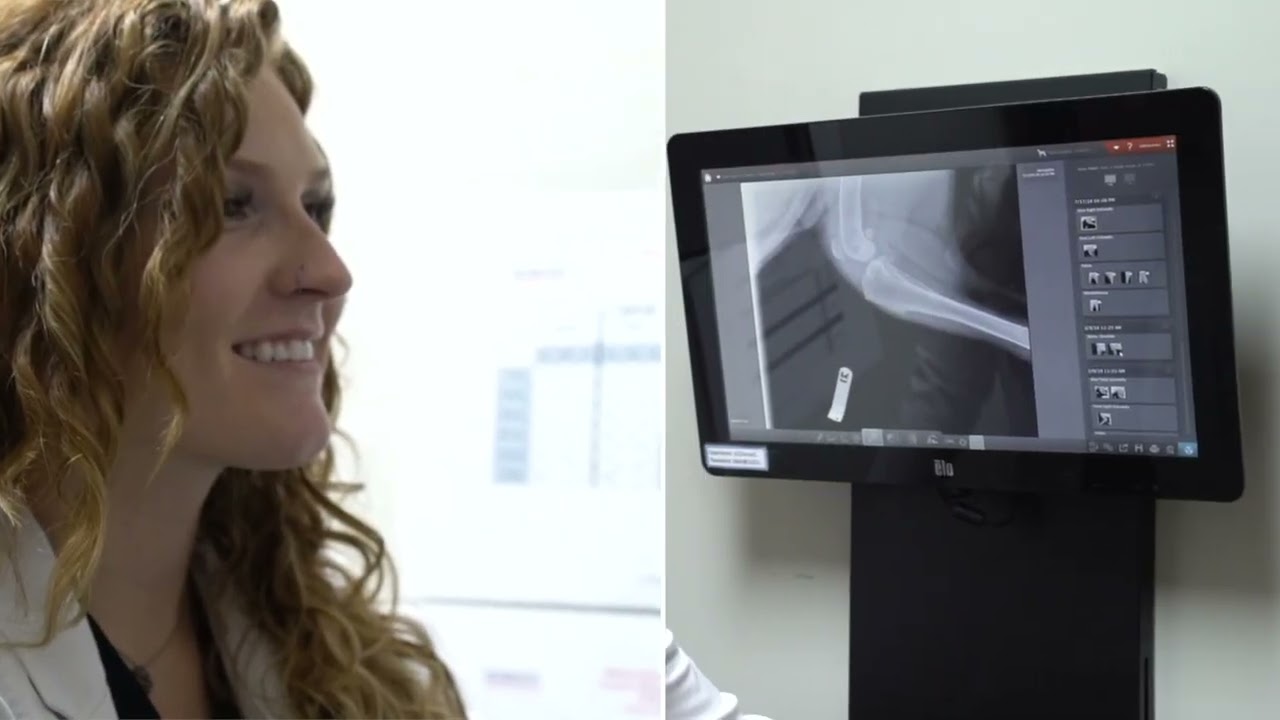 Midwest Animal Hospital Commercial