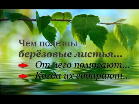 Поясница боль после тяжести Капустный лист при болях в суставах