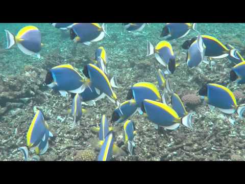 seychelles 2015 part 2