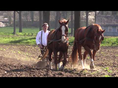 Ploegen Olde Gebroek Aalten   31 3 2021