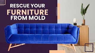 How To Remove Mold Stains From Fabric Furniture? (Quick Solutions)