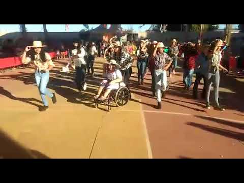 Apresentacão Arraial E.M Arlene Marques .