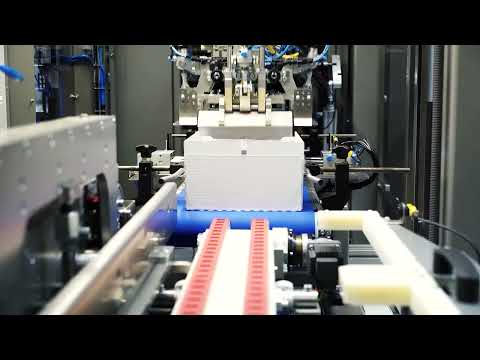 Teccon - Case Packer type TH140R for Tray & Hood cartons