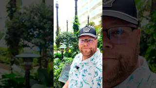 Harmony of the Seas Central Park Tour