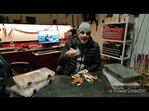 Lahjoitetaan jigejä + yllätys