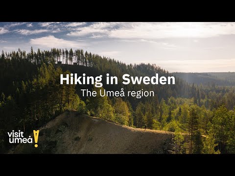 Hiking in Sweden - The Umeå region