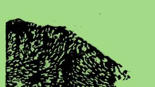 Dogs On Acid - Dogs On Acid 7"