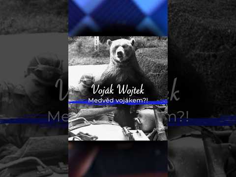 Voják Wojtek: Medvěd vojákem?! 🐻
