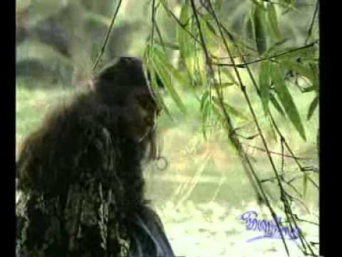 JALE GEMBURA     JAGATH WICKRAMASINGHE     CHANDREALATHA WICKRAMASINGHE     ROHANA W    SRILANKAN SO