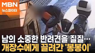 온몸으로 저항했지만 끝내 끌려간 '봉봉이'…개장수 실수로 다른 집 찾아가 - 뉴스파이터