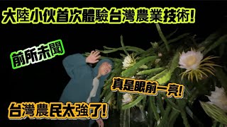 大陸小伙第一次親自體驗台灣農業技術眼睛都直了!真是眼前一亮!前所未聞!台灣農民太強了!