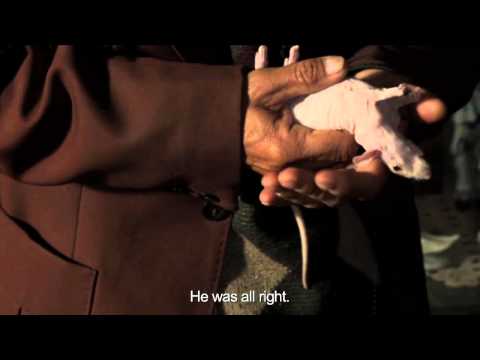 Entre la noche y el día / Trailer