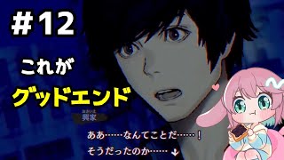 やってない全エンド回収&なめどり収集【パラノマサイト本所七不思議】実況プレイ#12