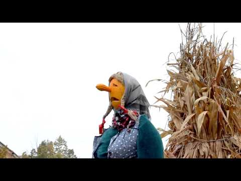 Pumpkin woman - Free HD stock footage