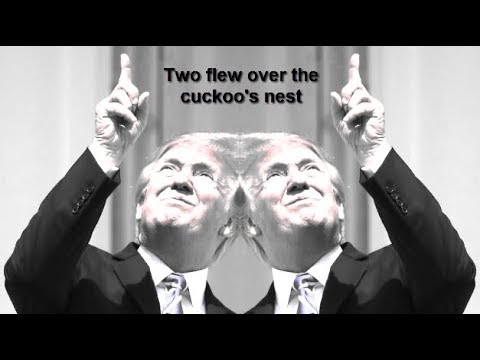 Two Flew Over The Cuckoo's Nest (The Son Of The Morning)