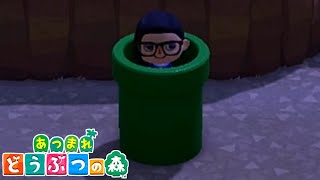 【#8】どかんやばすぎwwww【あつまれどうぶつの森】