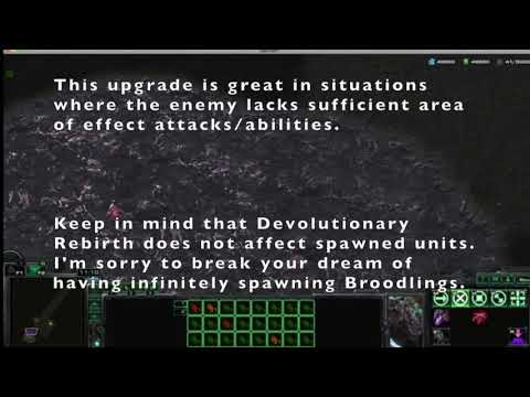 A War Story: Faction Showcase - Swarm Remnants 06