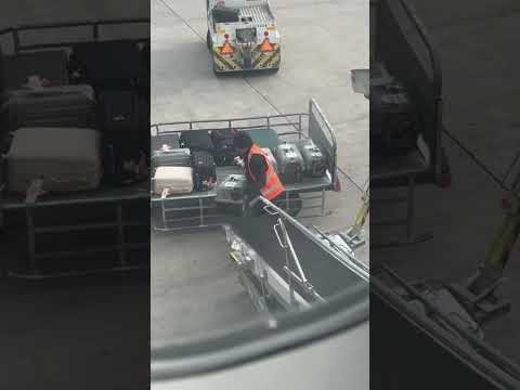 Airport worker shares sweet moment with rescued cats at Athens International Airport, Greece