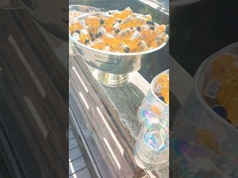 Beach Party 🏖️Subscreibe 😘