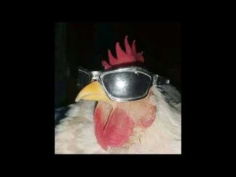 [free] TRASH TRAP TYPE BEAT ECKO X YUNGLIAN X CRAZY POINT | LOCO (PROD. SKULLFKID)