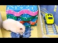🐹😱 Monster Hamster Maze with Traps 😱OBSTACLE COURSE😱 + BONUS Escape Robot