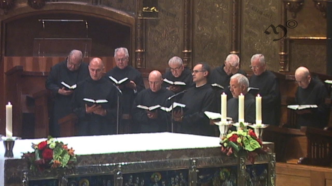 Watch Què són les Vespres Now Què són les Vespres