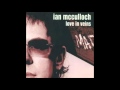 Ian McCulloch - Love In Veins