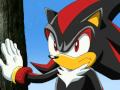 Shadow The Hedgehog Defying Gravity