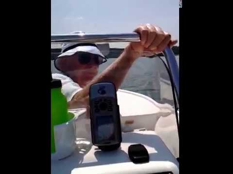 Mako 181 Center Console, 50 hp Mercury 2 stroke speed test #shorts