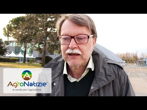 Fertilizzanti, e se fossero nano?