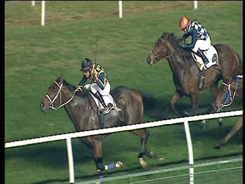 Galoppo 08/11/2017 - 5ª corsa