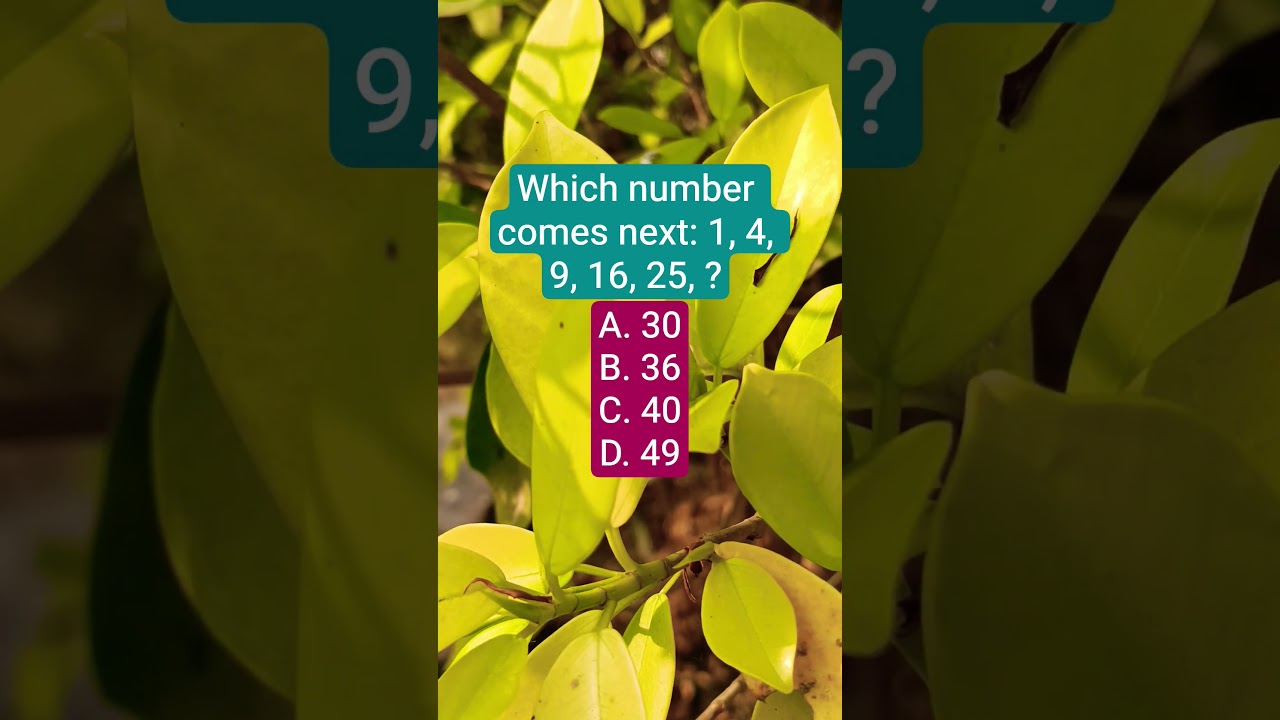 Which number comes next: 1, 4, 9, 16, 25, ?