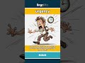 urgency (noun) - definition and usage in English
