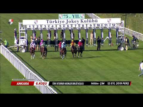 GUSTAV      KV-8/4+A      12/09/2019    ANKARA